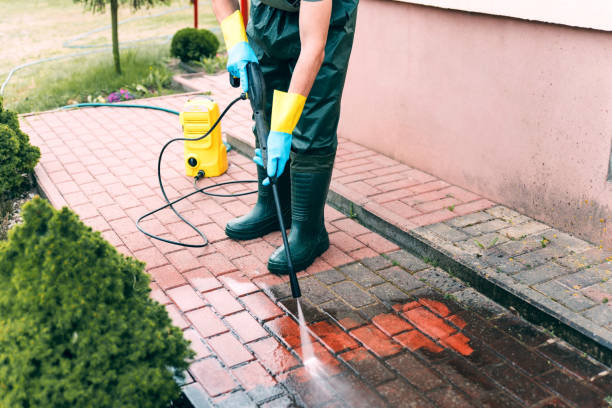 Best Driveway Pressure Washing  in Fort Dodge, IA